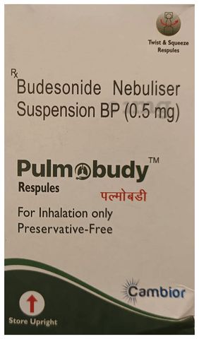 Pulmobudy Respules (2ml Each) image
