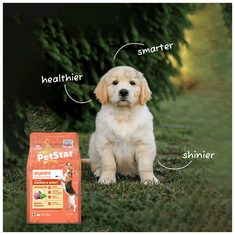 Petstar Puppy Dry Dog Food Chicken Wheat: Buy packet of kg