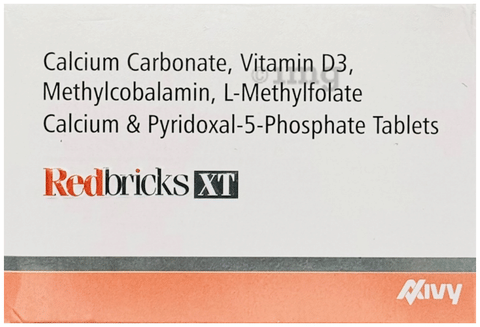 Redbricks XT Tablet 1