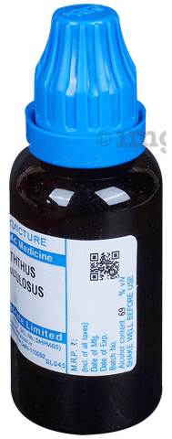 69vn Limited - Khám Phá Thế Giới Giải Trí Đỉnh Cao