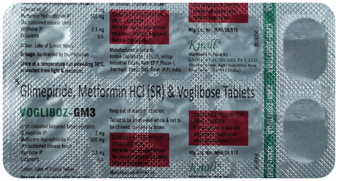 Vogliboz-GM3 Tablet SR image