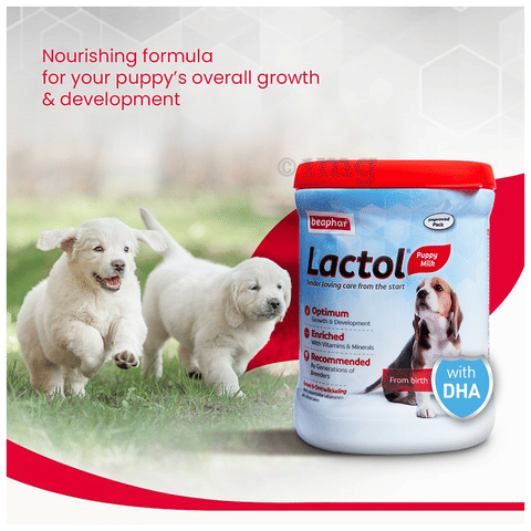 Beaphar Lactol Puppy Milk From Birth: Buy jar of gm Powder