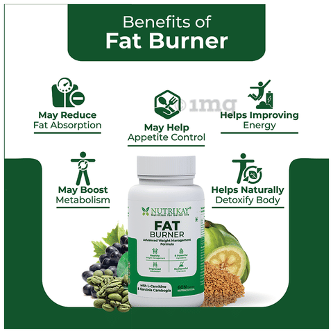 Nutrikay Fat Burner Tablet with L-Carnitine & Garcinia Cambogia (60 Each):  Buy box of 1.0 Bottle at best price in India | 1mg