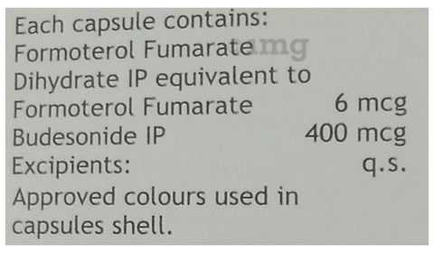 Budaria-FB 400 Lungcaps image Budaria-FB 400 Lungcaps image
