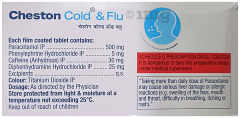 Cheston Cold and Flu Tablet image