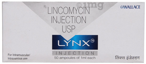 Lynx Injection image