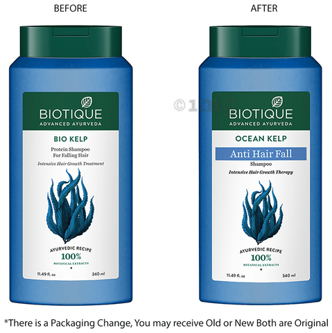 Buy Biotique Bio Kelp Protein Shampoo For Falling Hair (340 ml) Online |  Purplle
