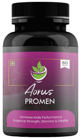 Aorus Promen Capsule image