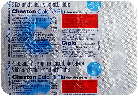 Cheston Cold and Flu Tablet image