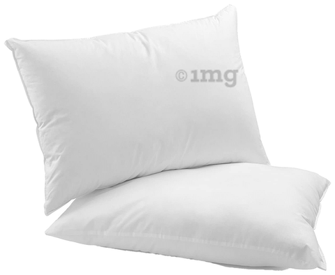 Buy Sleepsia Microfiber Decorative Cushion Inserts (White) 16 x 16 Inches -  Set of 2 Online at Best Prices in India - JioMart.