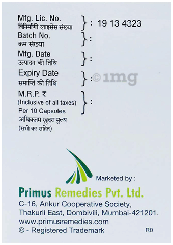 Esotrend IT Capsule SR image