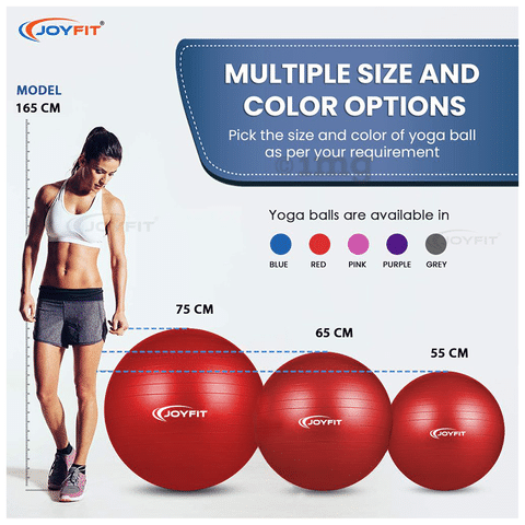 Joyfit Yoga Ball with Inflation Pump Red Medium Buy box of 1.0