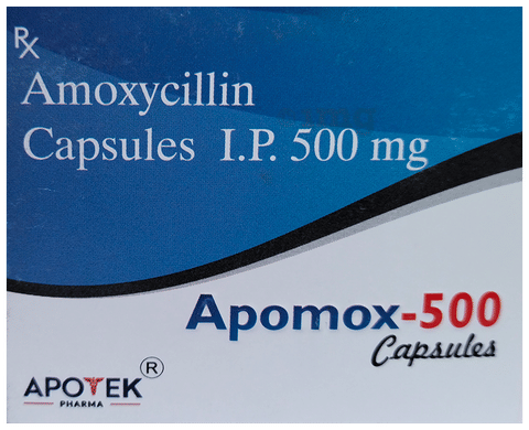 Apomox 500 Capsule image Apomox 500 Capsule image