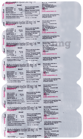 Meganerv Injection image