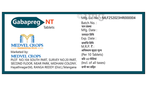 Gabapreg NT Tablet image