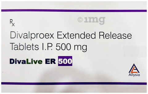 DivaLive ER 500 Tablet image