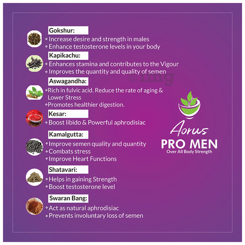 Aorus Promen Capsule image
