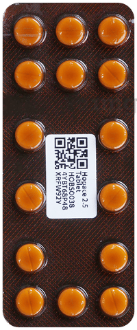 Hopace 2.5 Tablet image