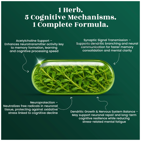Aegant Brahmi Capsule 6