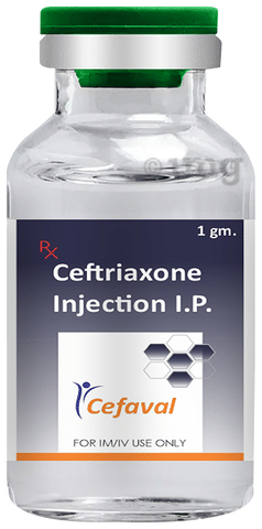 Cefaval Injection