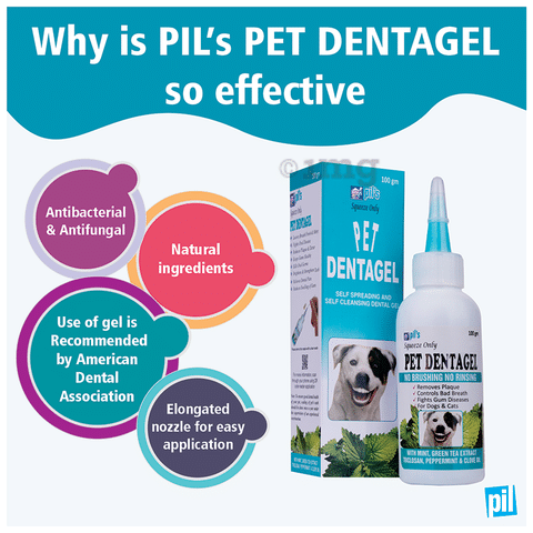 Antibacterial toothpaste store for dogs