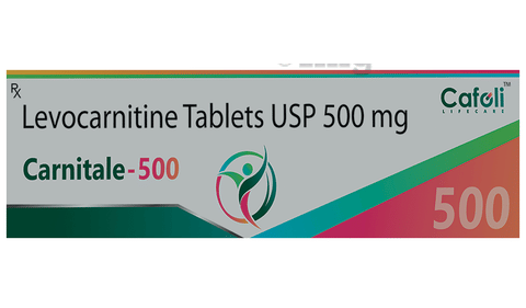 l-carnitine benefits for cats L-Carnitine Deficiency in Cats