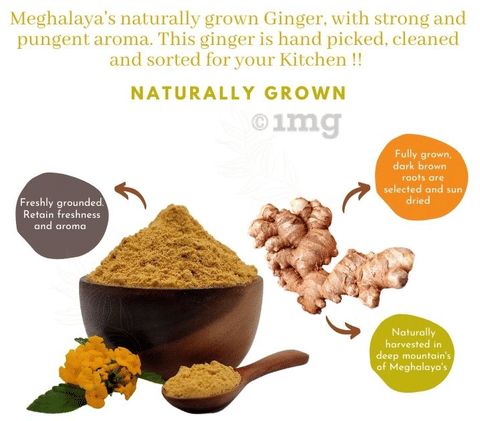 Ginger Paste Zayd Organic Ginger Powder 14oz, USDA Organic