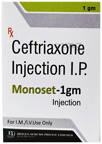 Monoset 1gm Injection image