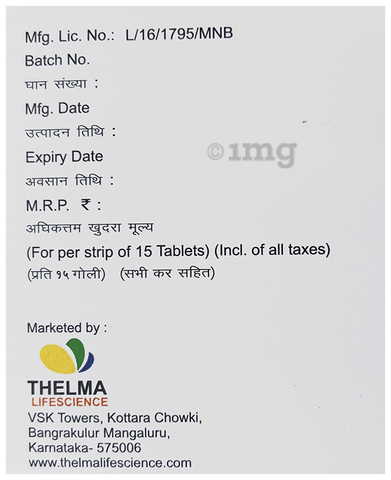 Thelmet-GP 2 Tablet SR image