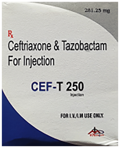 Cef-T 250 Injection image