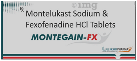 Montegain-FX Tablet image