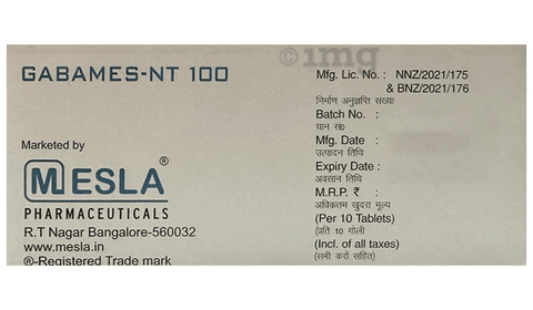 Gabames-NT 100 Tablet image