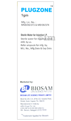 Plugzone 1GM Injection image