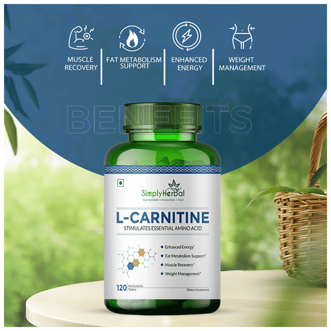l-carnitine role transports fatty acids into mitochondria Metabolism: The carnitine shuttle and fatty acid metabolism (practice)