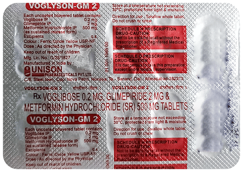 Voglyson GM 2 Tablet image