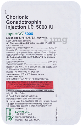Lupi-HCG 5000 Injection image Lupi-HCG 5000 Injection image