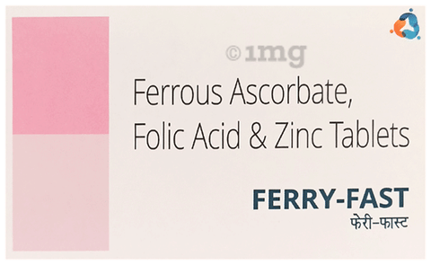 Ferry-Fast Tablet image