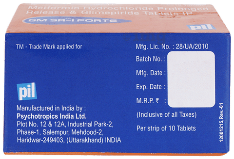 GM SR1 Forte Tablet image