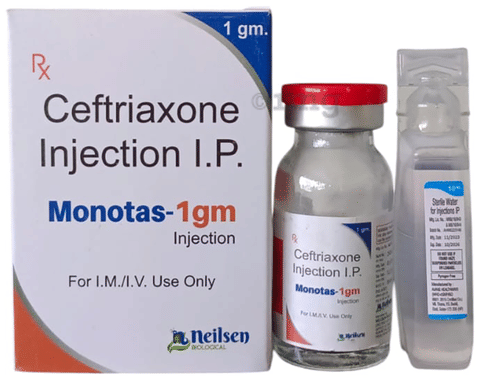 Monotas 1gm Injection 1 Monotas 1gm Injection 1