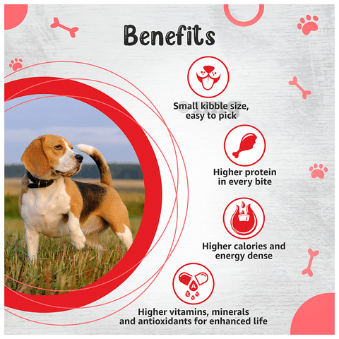 Drools small breed puppy food top