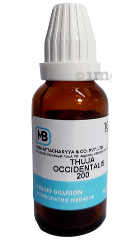 MB Thuja Occidentalis Dilution 200: Buy bottle of 30.0 ml Dilution at    in India | 1mg