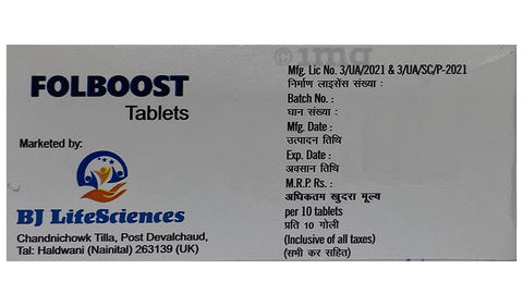 Folboost Tablet image