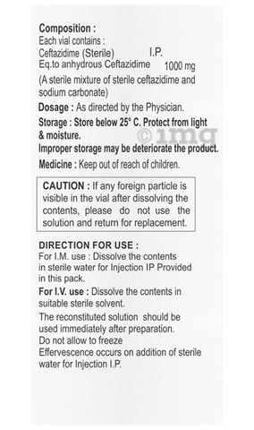 Critdime 1000mg Injection image