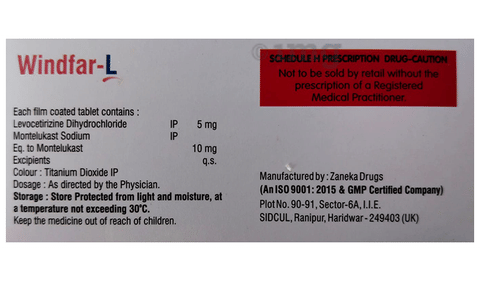 Windfar-L Tablet image