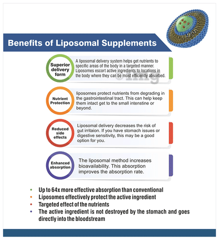 liposomal l carnitine benefits L-Carnitin-Ratgeber