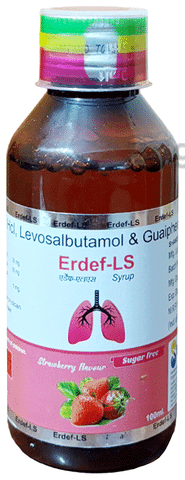 Erdef-LS Syrup Strawberry Sugar Free