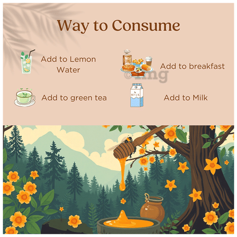 Nutricrate Wild Forest Honey 5