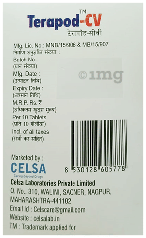 Terapod-CV Tablet image