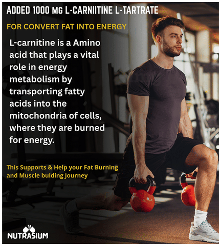 l carnitine benefits in bodybuilding Nutrasium L-Carnitine L-Tartrate 1000 mg Tablets For Support workout &  Muscle Recovery: Buy bottle of 60.0 tablets at best price in India