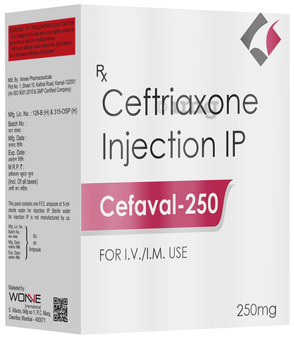 Cefaval 250 Injection image